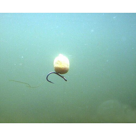 Zig Rigs Professionally Tied Carp Rigs